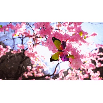 走进平谷石林峡，一起“趣”春游赏桃花